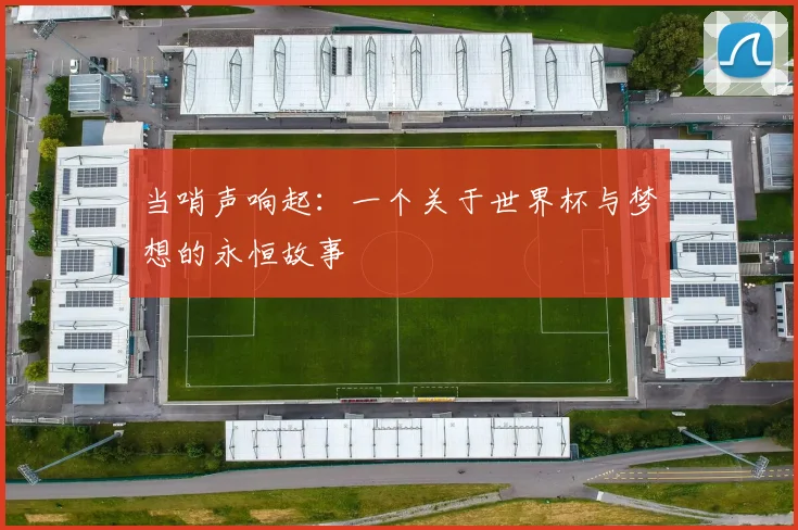 当哨声响起：一个关于世界杯与梦想的永恒故事