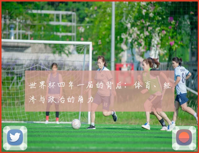 世界杯四年一届的背后：体育、经济与政治的角力