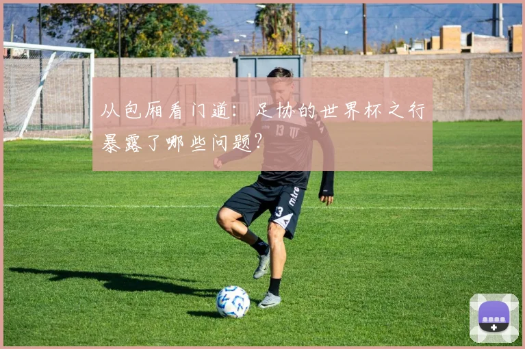 从包厢看门道：足协的世界杯之行暴露了哪些问题？