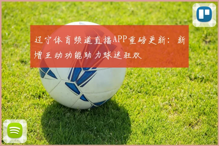 辽宁体育频道直播APP重磅更新:新增互动功能助力球迷狂欢