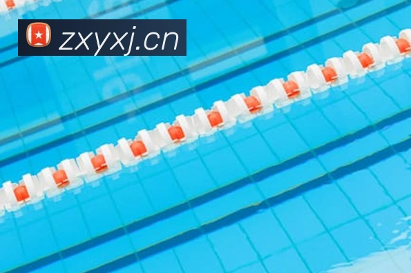 星空网最新地址平台生态图